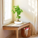 Artificial Plant